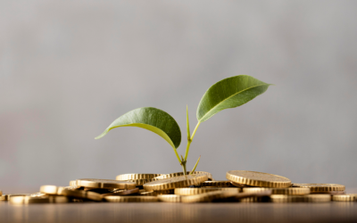 Come Funziona il Fondo Cassa in Condominio e Quando È Obbligatorio